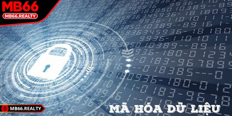 Bảo mật MB66 và những điều người chơi nên chú trọng Mã hóa thông tin nhiều lớp giúp dữ liệu người chơi được an toàn tuyệt đối