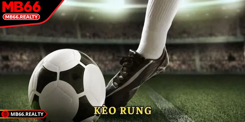 Cách đọc kèo rung cho người mới MB66 thắng lớn mỗi ngày Bạn sẽ hiểu rõ biến động trận đấu nếu biết cách đọc kèo rung cho người mới MB66