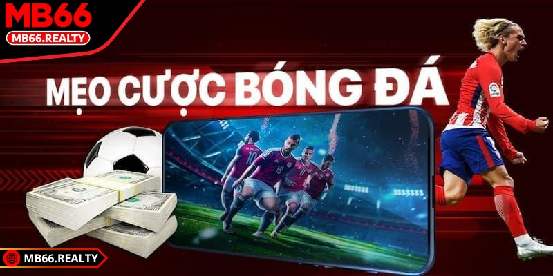 Cách đọc kèo rung cho người mới MB66 thắng lớn mỗi ngày Kết hợp phân tích trận đấu giúp bạn cá cược chuẩn xác hơn và dễ thắng