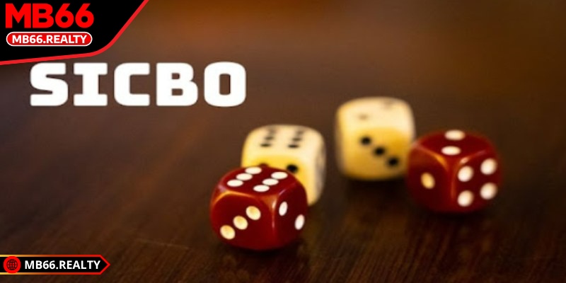 So sánh Sicbo truyền thống và live MB66: Nên chọn loại nào? So sánh Sicbo truyền thống và live MB66 - Điểm giống và khác